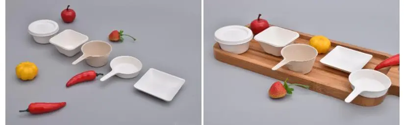 Biodegradable Food Container That You Show Know