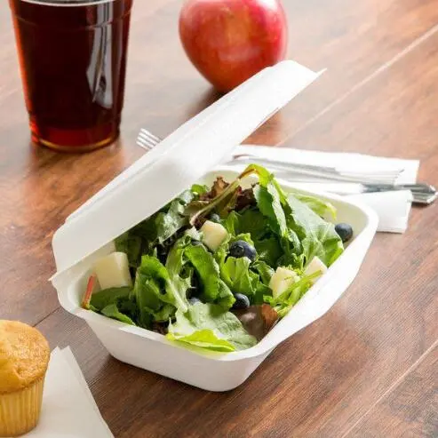 Biodegradable Food Container That You Show Know