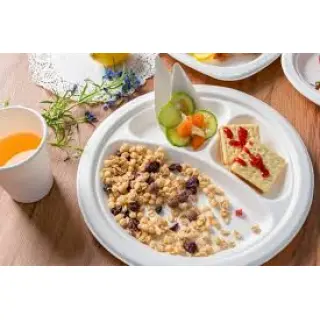 The reason is simple: compared to other materials, bagasse tableware is more environmentally friendly and sustainable because it is easily compostable.