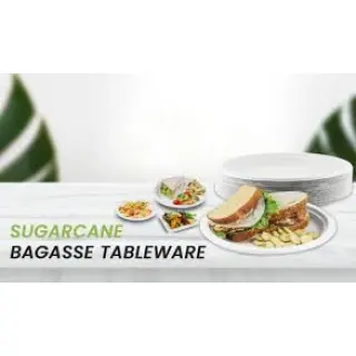 With the high market requirement, starting a bagasse tableware manufacturing or supply business seems like a profitable option. To understand why it is important for us, you first need to understand what this tableware is.