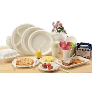 Bagasse is one of the most innovative and upcoming eco-friendly choices in tableware and is becoming more and more popular every day.