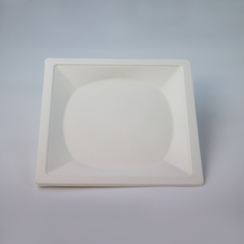 Square Bagasse Plates