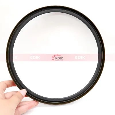 Dust Oil Seal Rubber Seal for Hydraulic Wiper Seal Dkb 180*200*12/13