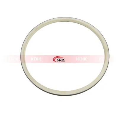 12011969B Combi Oil Seal for Benz Tractor 200*218*10