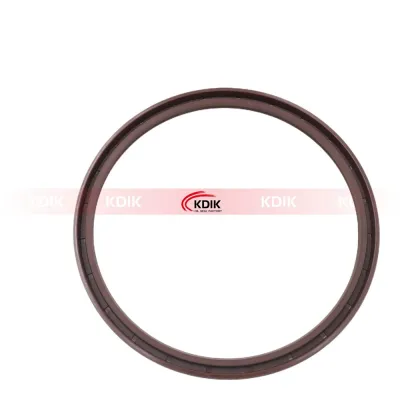 Oil Seal with a Nitrile Sealing Lip and Carbon Steel Spring with TC 160*180*10