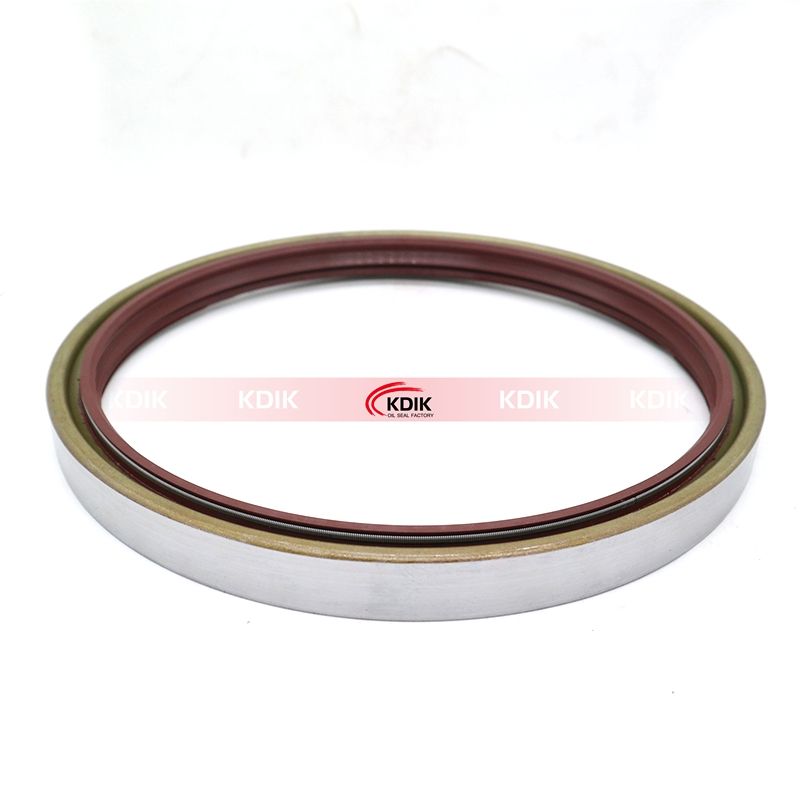 BW6659E 39Q6-12350 DB2 Oil Seal 4422691 4604376 Size 230*260*21