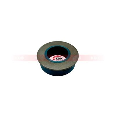 099175API Oil Seal 6.186.507 US 6.406.026 6.464.228 Auto Oil