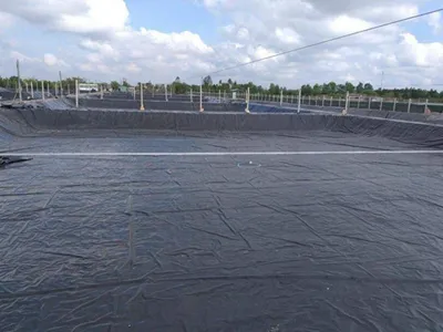 Why Is HDPE Often Better Than PVC for Pond Liners?