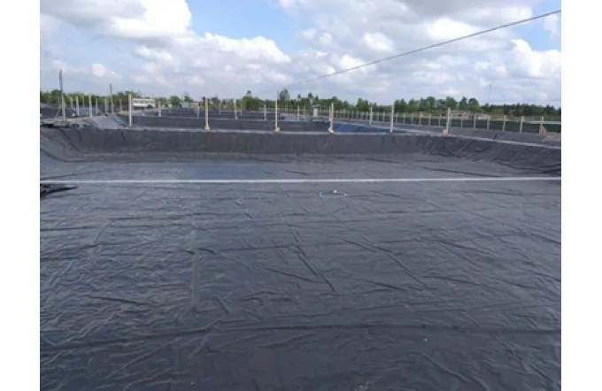 Why Is HDPE Often Better Than PVC for Pond Liners?