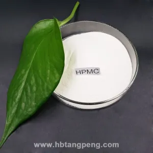 Wholesale Manufacture Hot-sale HPMC for Water-based Paint