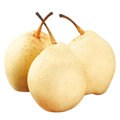 Aletta Okean mushuki yaqindan