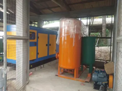 Philippines 150kVA Biogas Generator Set