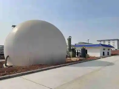 Generator 500kw Biogas & sistem fermentasi anaerobik Biogas