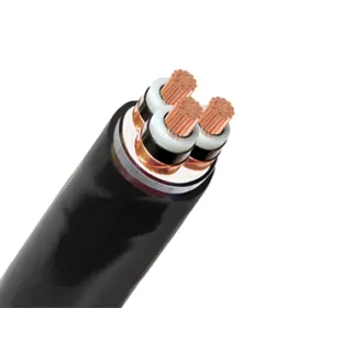 Armored cables are armored power cables. The main purpose of armored core cables is to convert or distribute power.