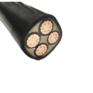 We have endorsed the name of PVC insulated armored cables.