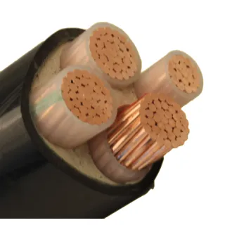 Armored cables are often referred to as steel wire armored cables, SWA cables, utility power cables, single core power cables, and multi-core brochure armored cables.