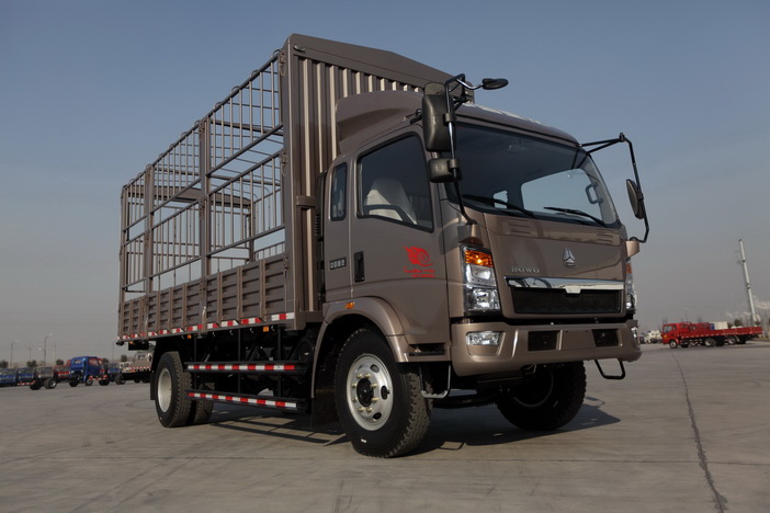 Sinotruck HOWO 6 Ton de caminhões de carga leve jogo caminhão da Barragem -  China Light Truck, Veículo