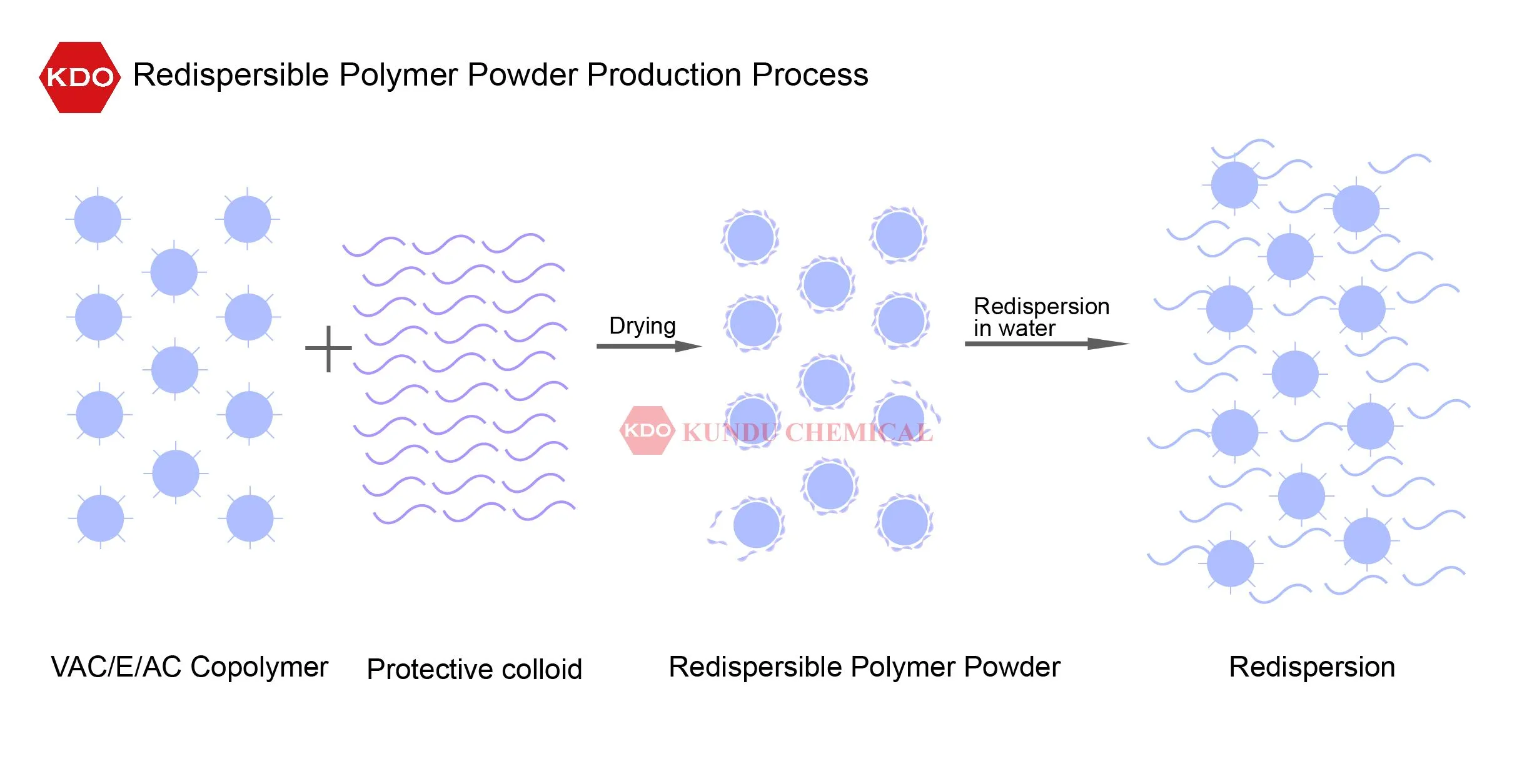 Redispersible Polymer Powder (RDP)