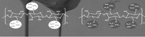 What factors are related to the enzyme resistance of HEC（Hydroxyethyl cellulose）?