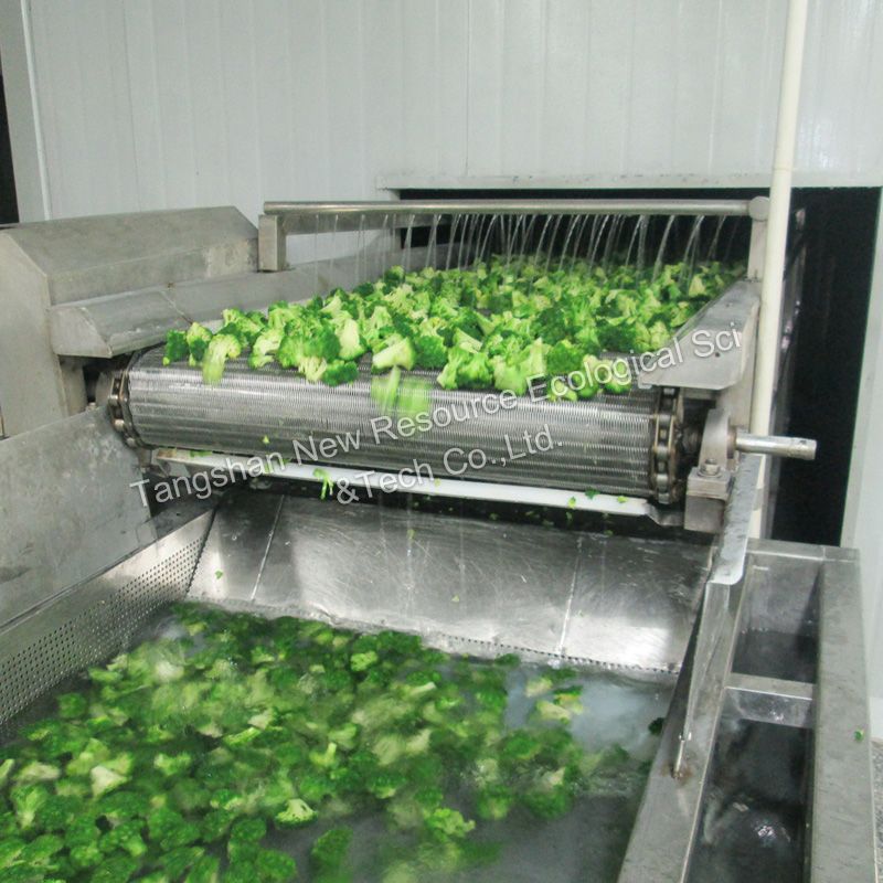 Frozen Mixed Vegetables