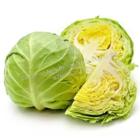 Fresh Peking Cabbage