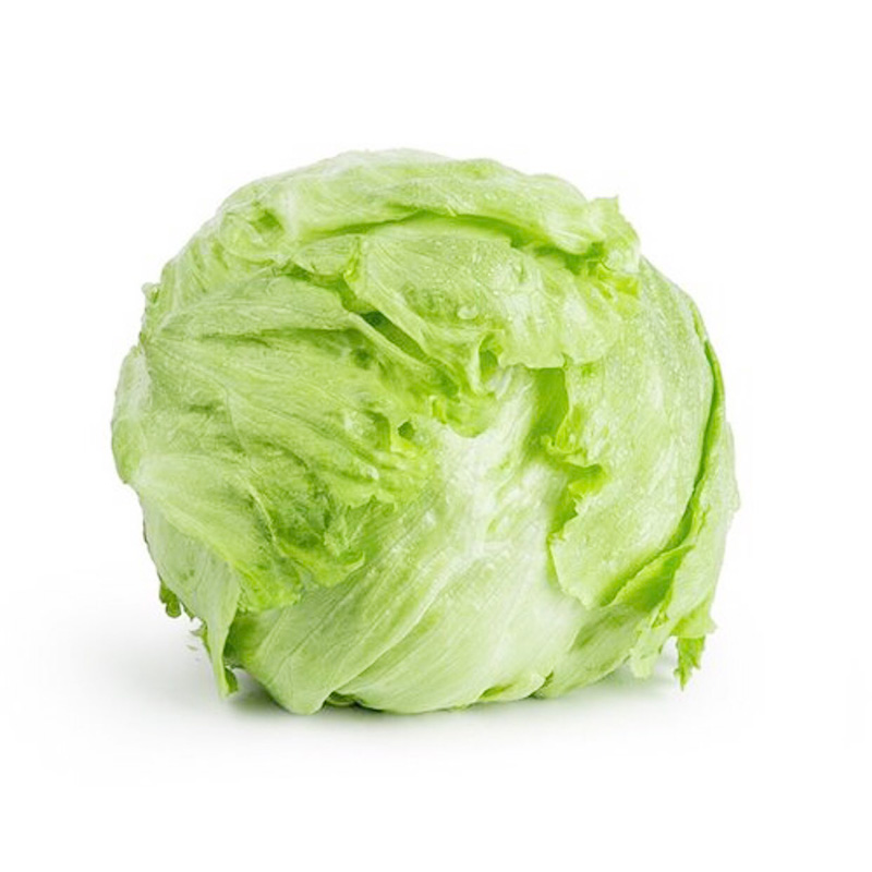 Fresh Lettuce