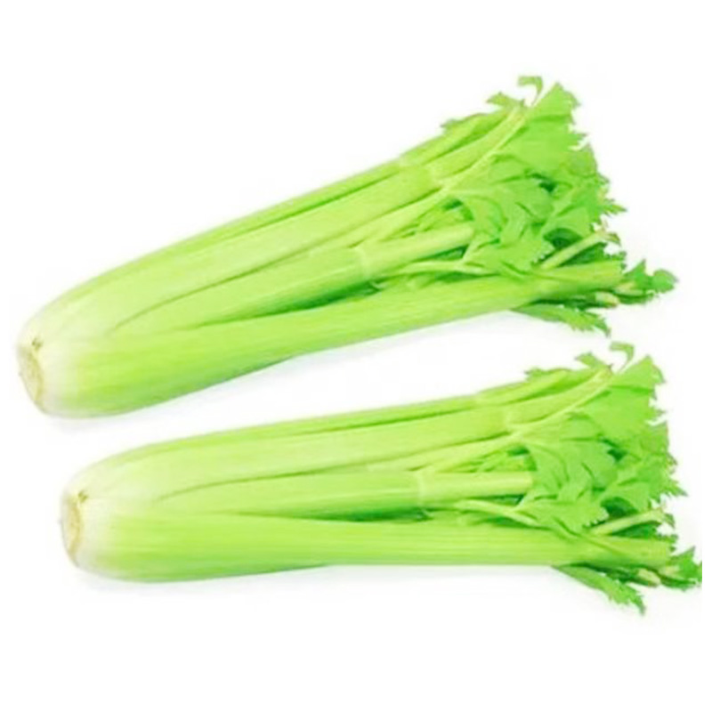 Fresh Celery