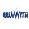 spiral coil springs  For Auto Suspension System