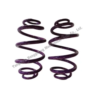 espirals coil use for auto suspension system