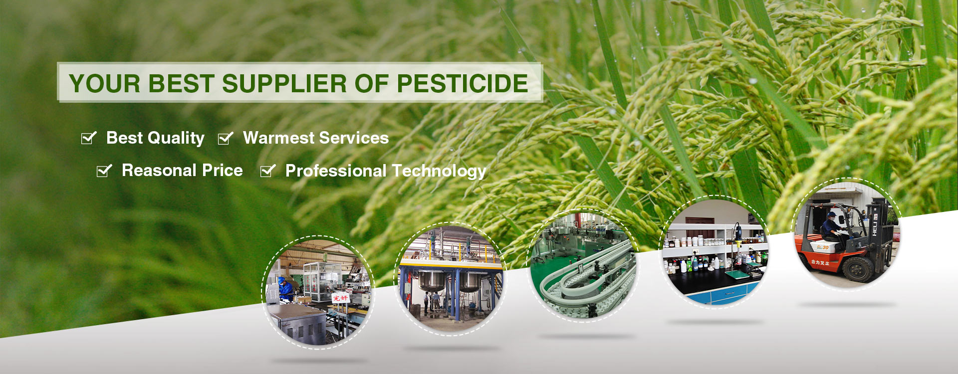 Abamectin Insecticide For Cotton