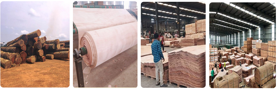 Gabon Okoume Veneer Supplier