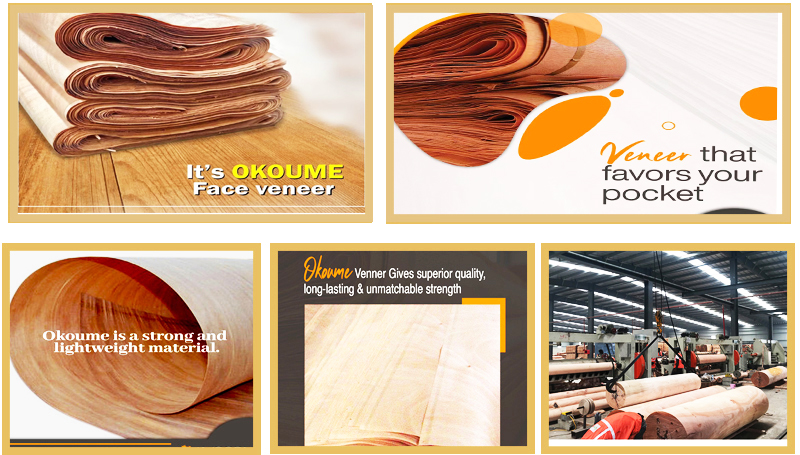 Gabon Okoume Veneer Supplier