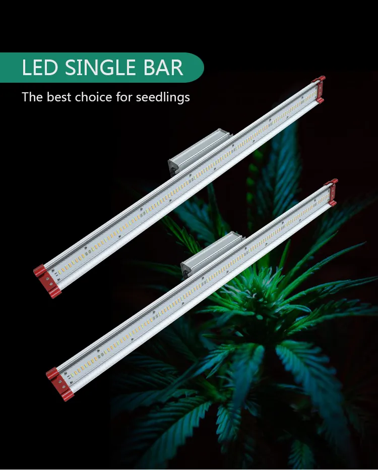 Single strip LED grow light
