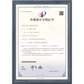 Double channel bottle bagging Certificate of patent (appreance)