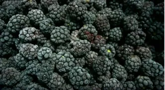 Frozen blackberries 