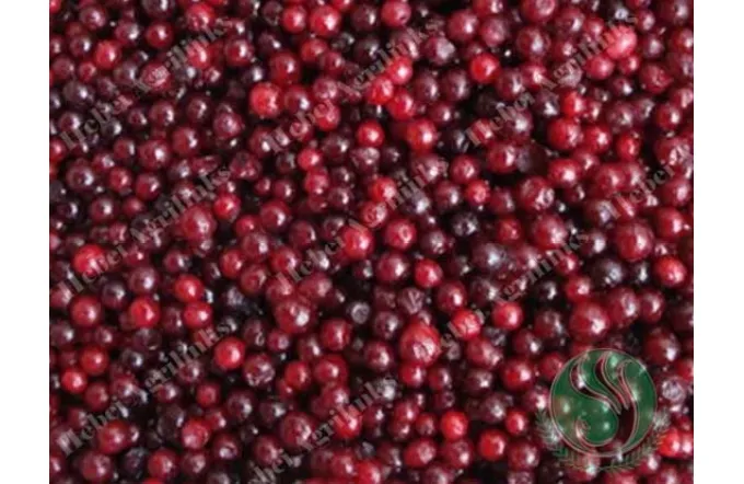 How Do You Store Lingonberries?