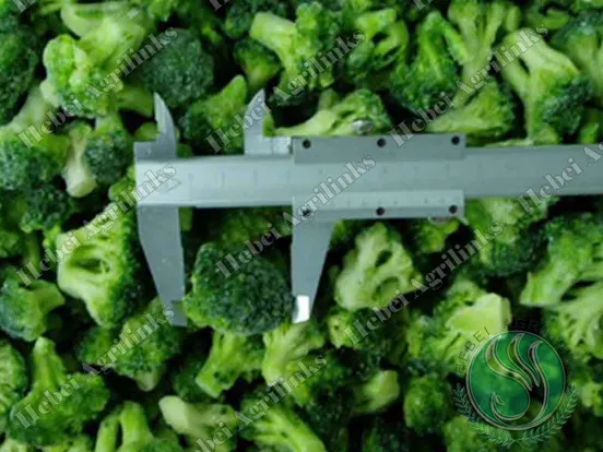 IQF Broccoli - The Ultimate FAQ Guide