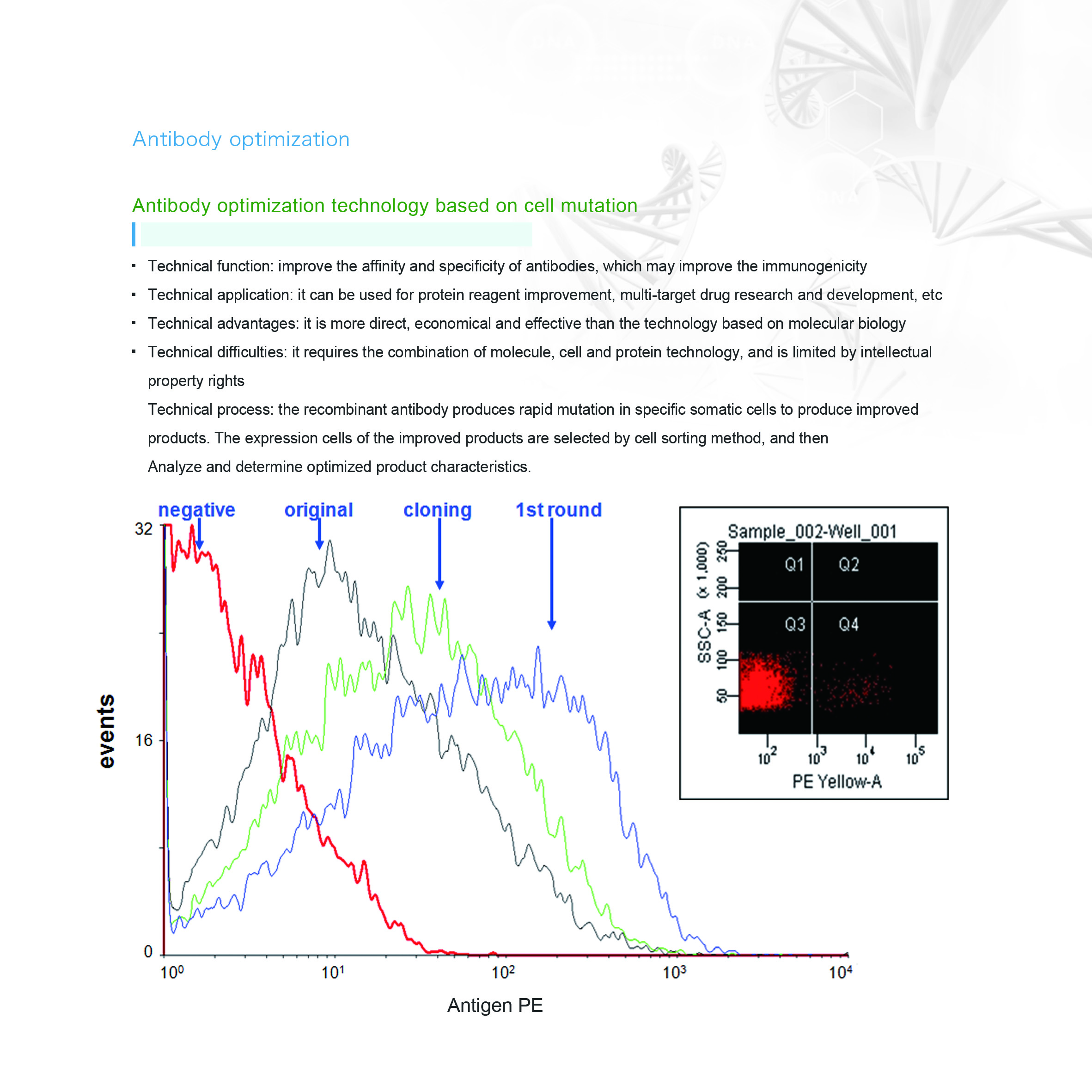 Antibody optimization