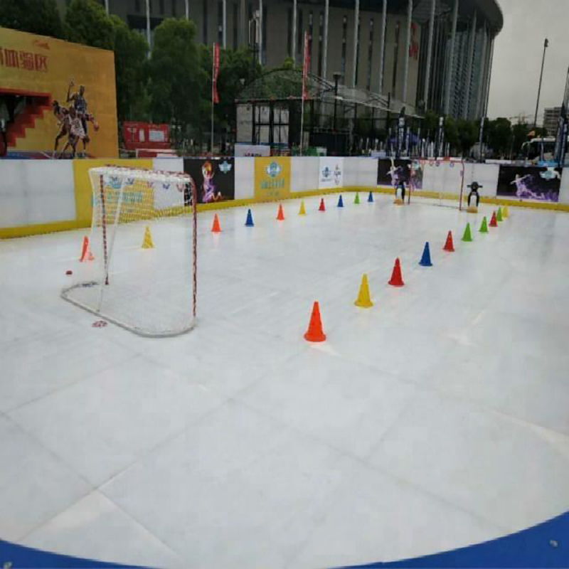 Synthetic Ice Rink