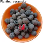 Planting ceramsite