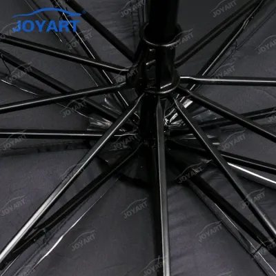 자동차 앞 유리 우산