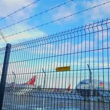 Airport fences