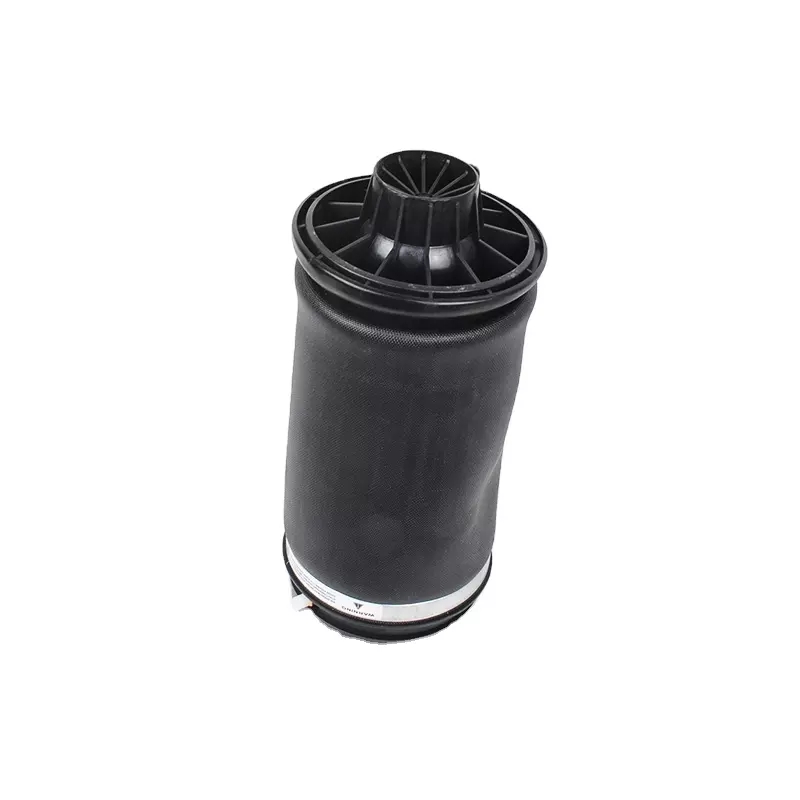 W164 Rear Air Spring