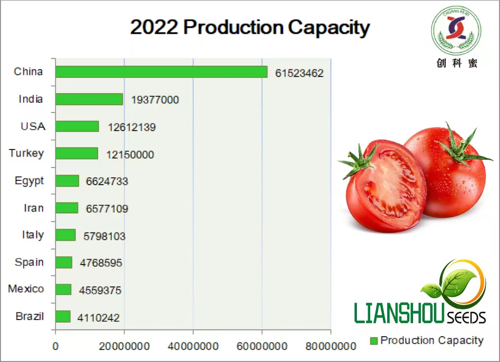 Top 10 Tomato Producing Countries In The World   91e0a0fb7e533731d80448b24b96564a 