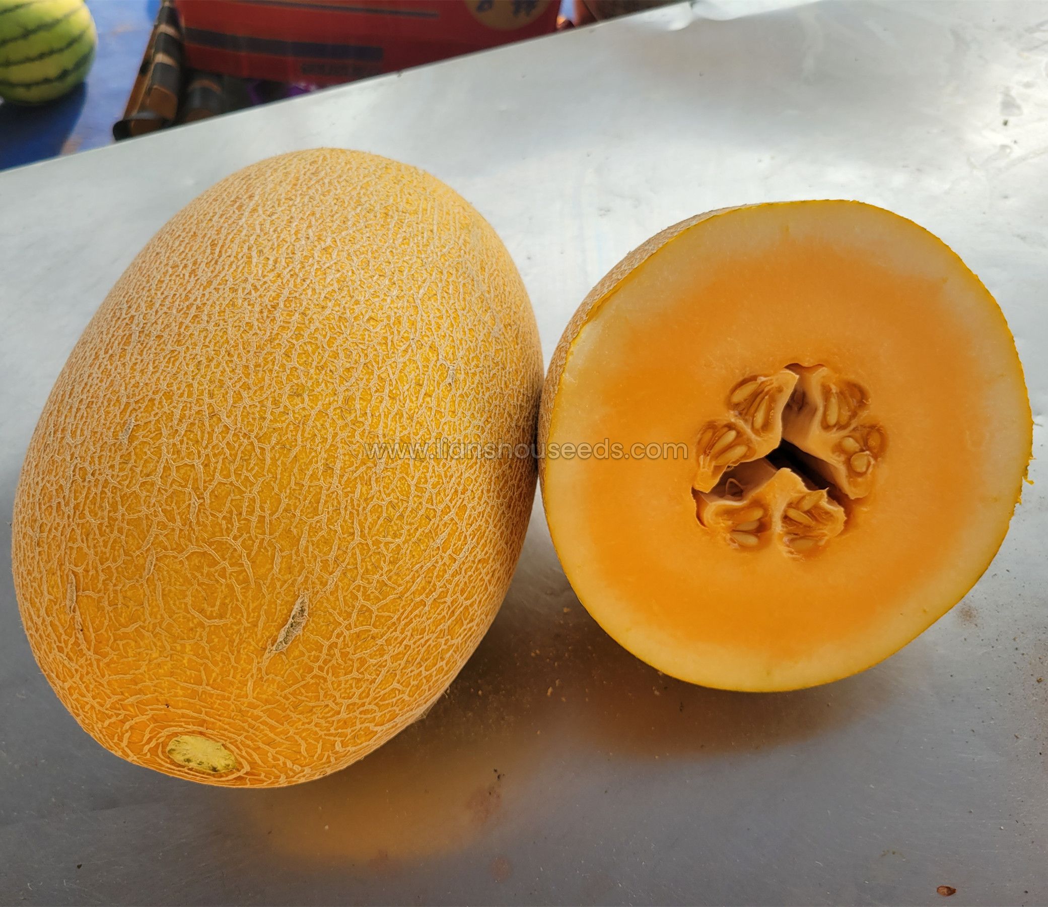 Key points for greenhouse melon growth in spring