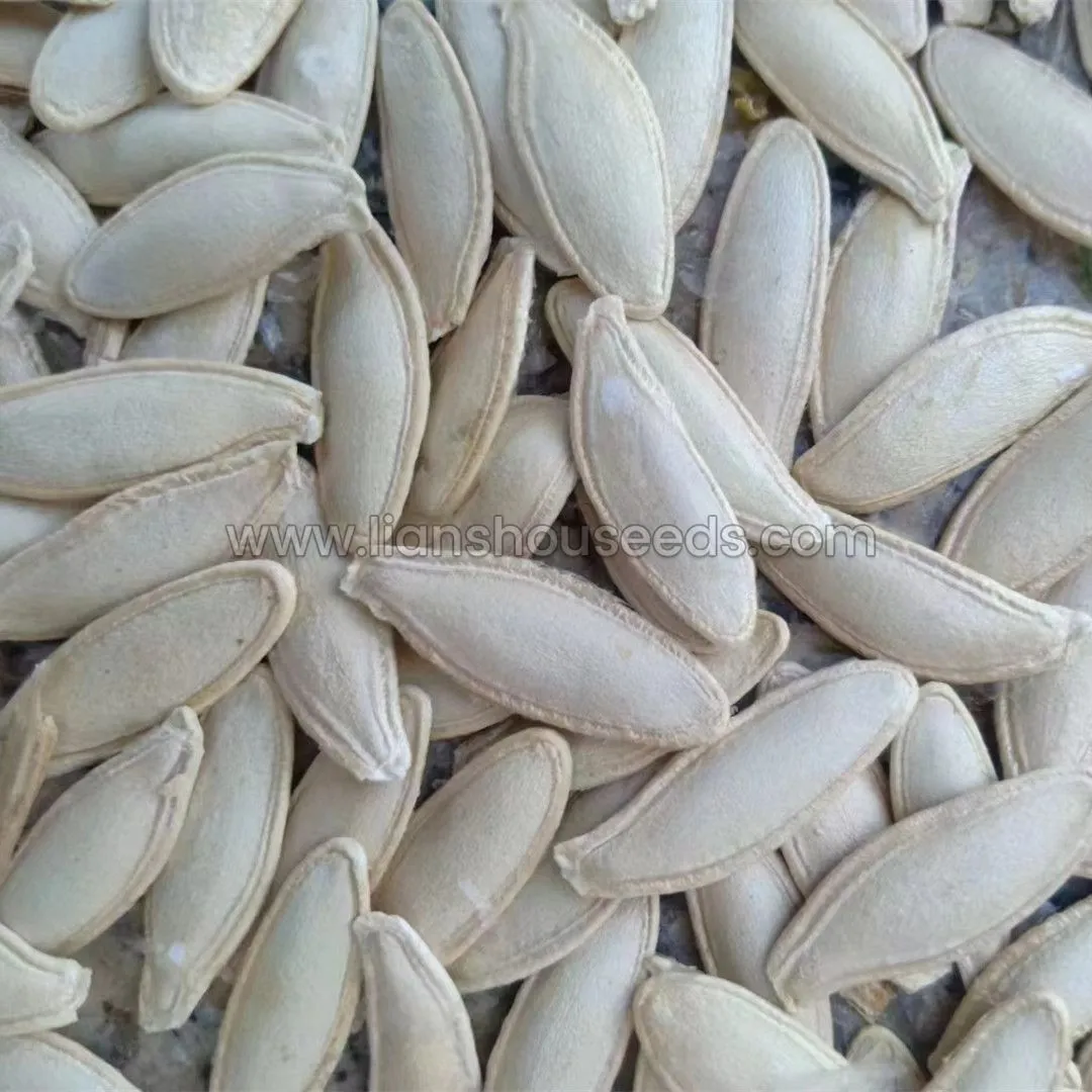 What factors affect seed quality?