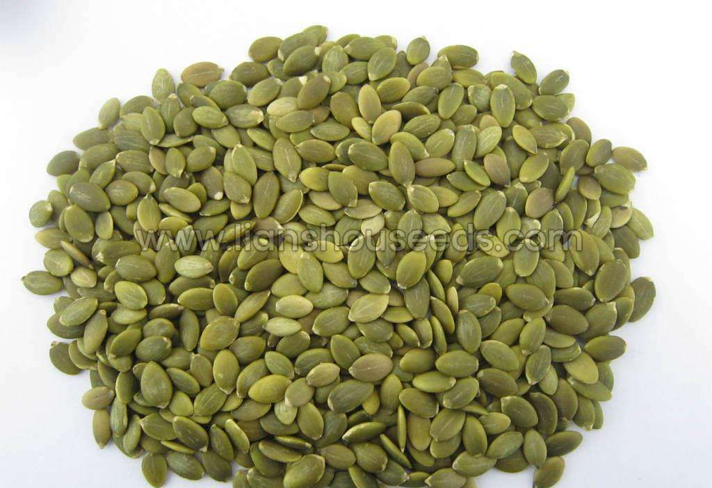 SL 04 Shellless Deep Green Pumpkin Seeds Variety