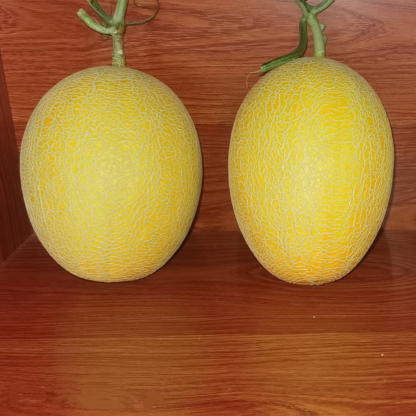 M03 Hybrid Hami Melon Variety with High Disease Resistance