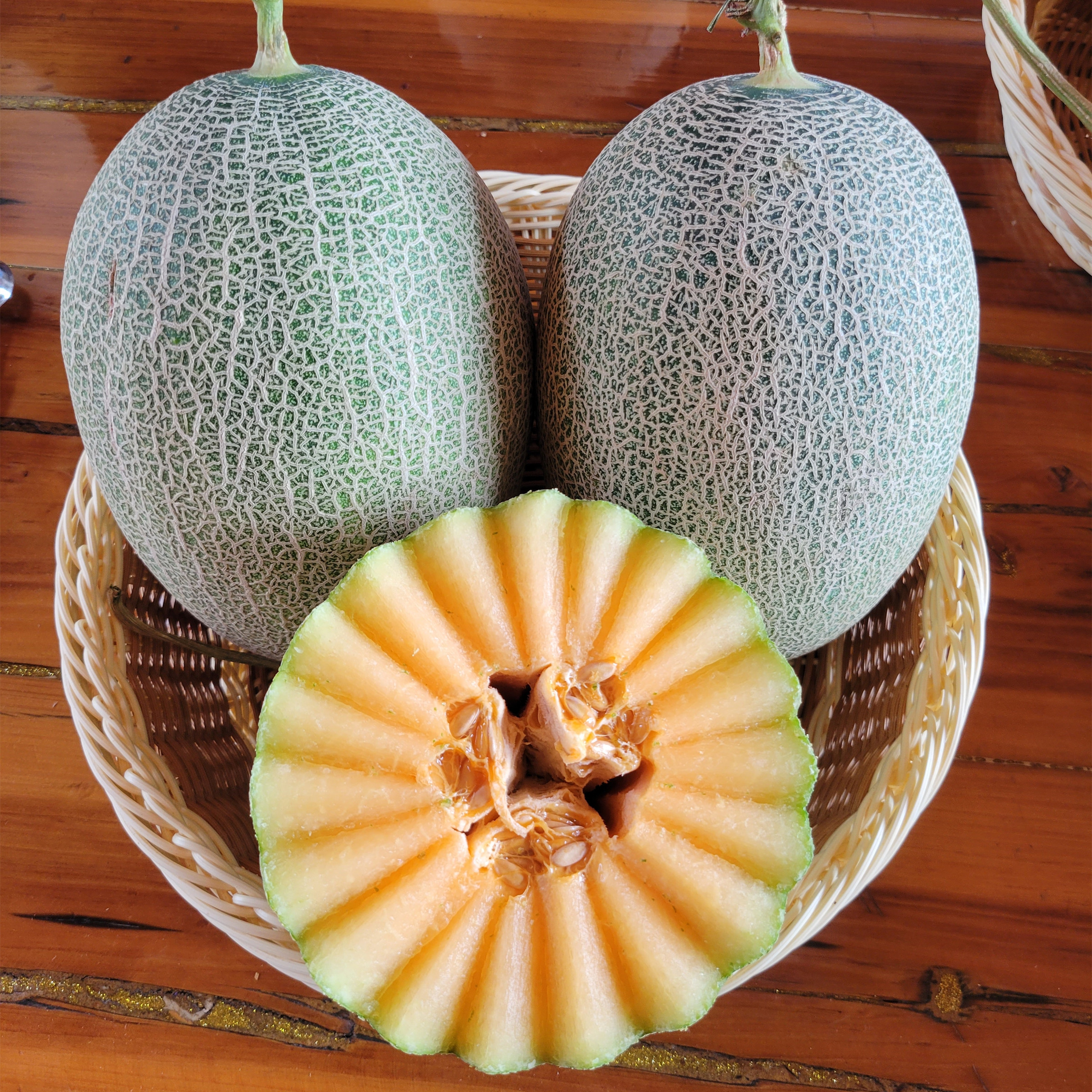 M1125 Cyan Crispy Hybrid Hami Melon Variety