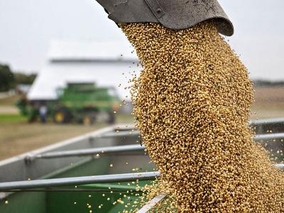 Us soybean export statistics to China: Soybean sales to China decreased by 23.3% year-on-year